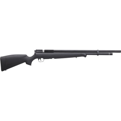 Benjamin Pcp Fortitude G2 .177 - Cal. Air Rifle Syn. Stock !!!