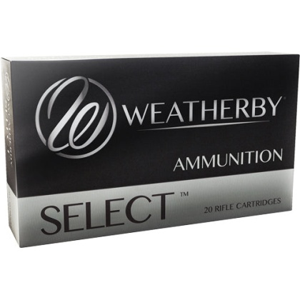 Wby Ammo .300 Weatherby Magnum - 180gr. Hornady Interlock 20-pk