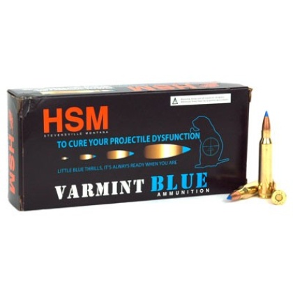 Hsm Ammo .223 55gr. Blue Tip - Sierra Blitz King 20-pack